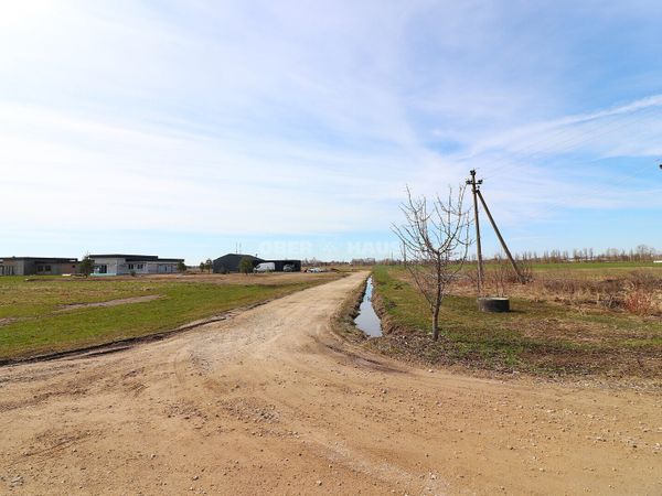 Panevėžys, Žemaičiai