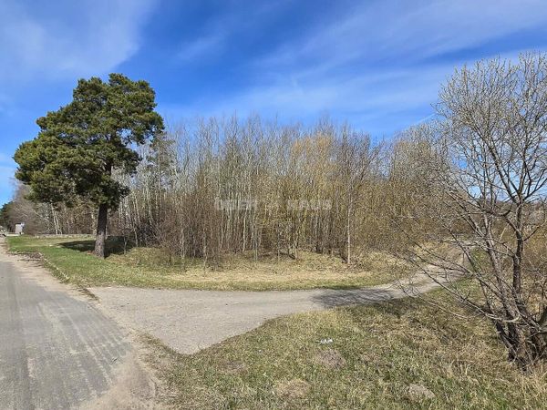 Panevėžio r. sav., Vyčiai