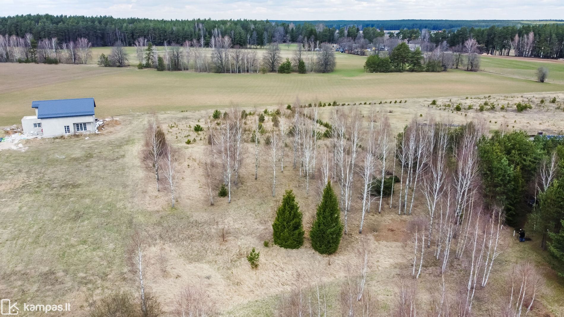 Main Image Trakų r. sav., Aluona, Vytauto Didžiojo kel.