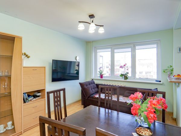 Panevėžys, Klaipėda