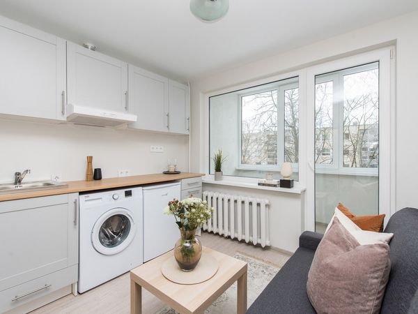 Vilnius, Šnipiškės