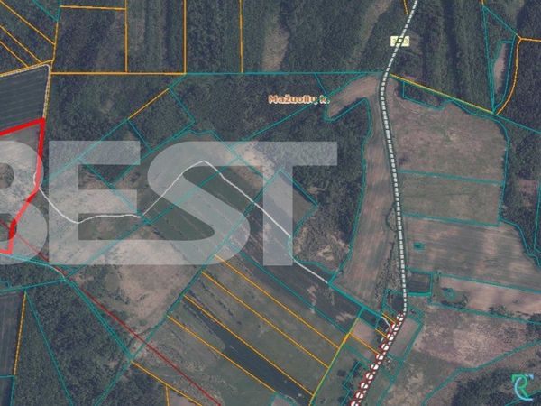 Radviliškio r. sav., Žeimiai