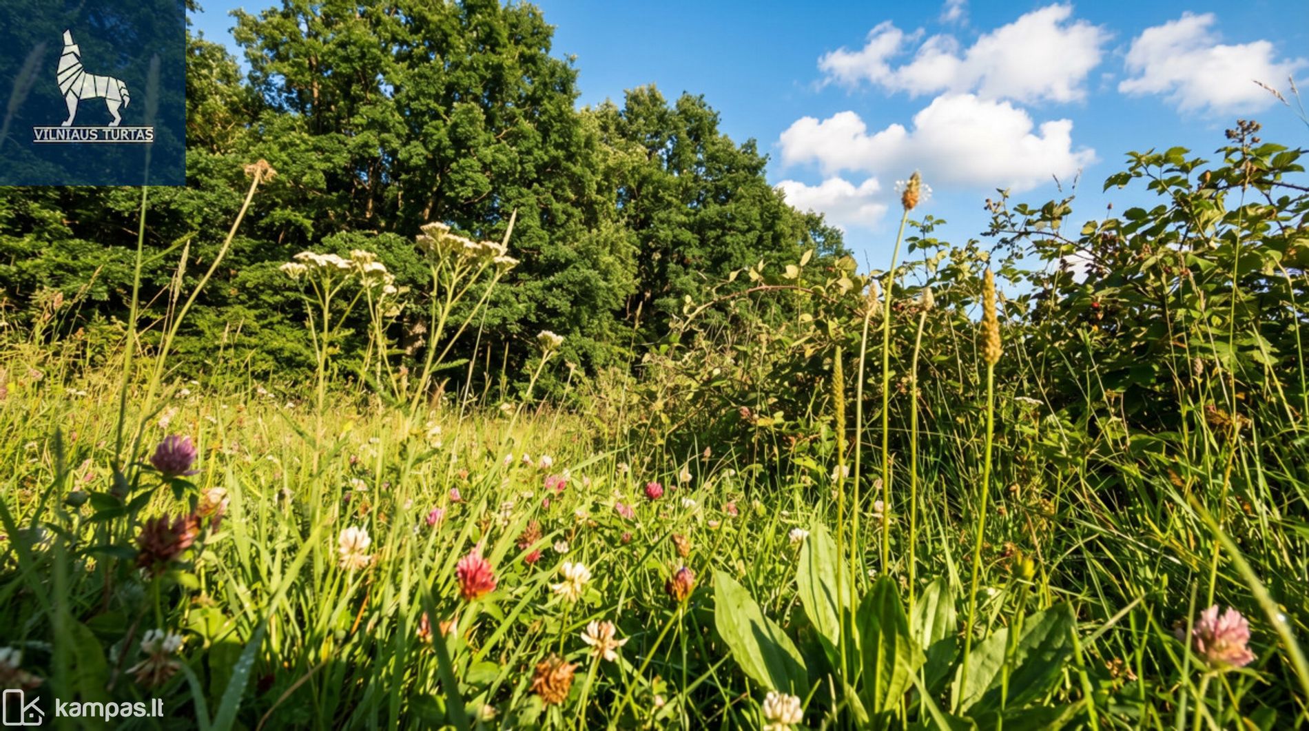 Main Image Elektrėnų sav., Kurkliškės