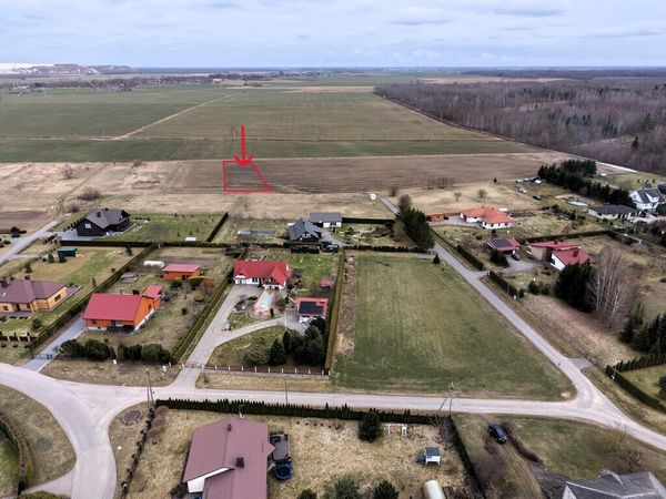 Kėdainių r. sav., Pelėdnagiai