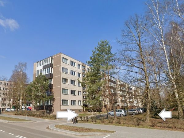 Panevėžys, Tulpės