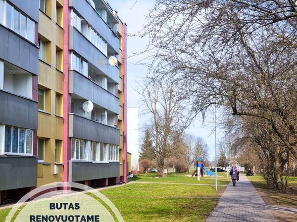 Joniškio r. sav., Joniškis