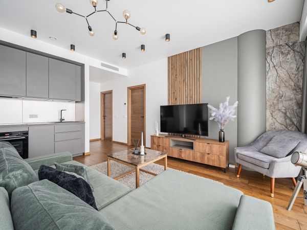 Vilnius, Šnipiškės