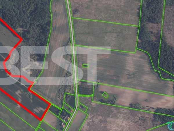 Radviliškio r. sav., Mažuoliai