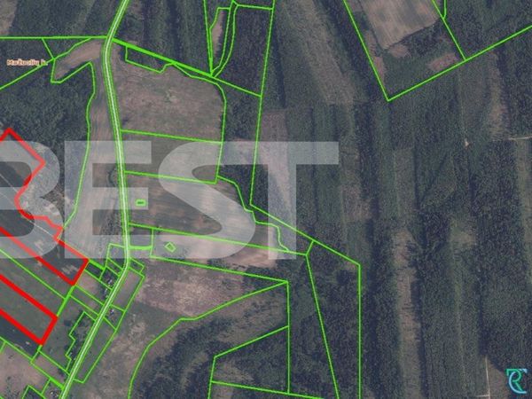 Radviliškio r. sav., Mažuoliai