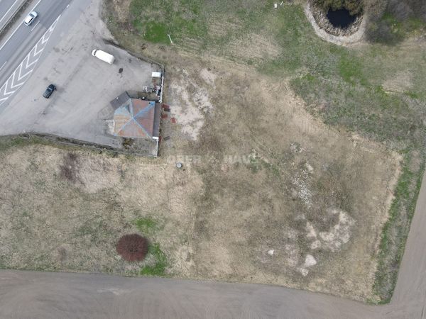 Kauno r. sav., Akademija