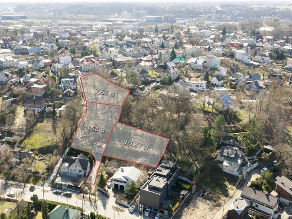 Kaunas, Žaliakalnis