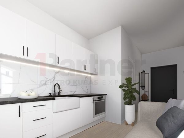 Vilnius, Naujamiestis