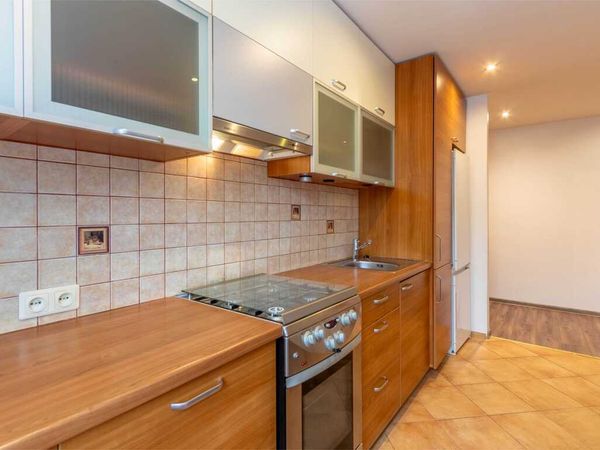 Panevėžys, Centras