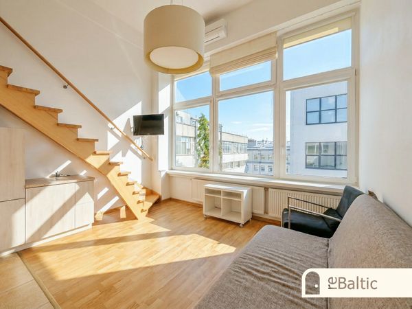 Vilnius, Naujamiestis