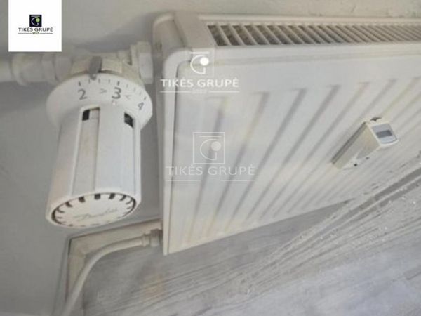 Klaipėda, Naujakiemis