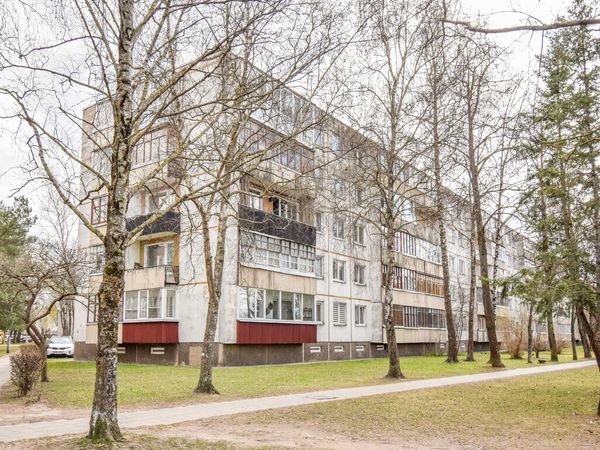 Panevėžys, Centras