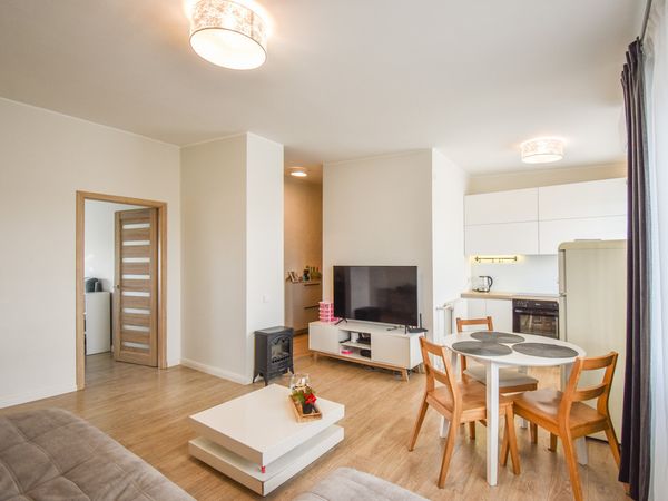 Panevėžys, Centras