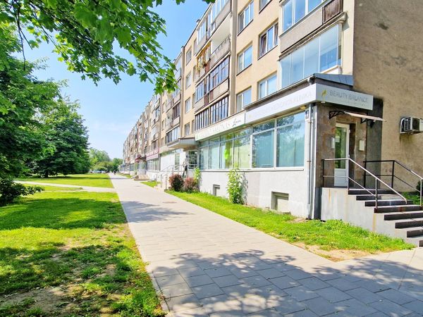 Vilnius, Šnipiškės