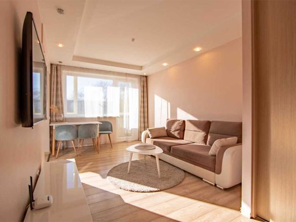 Panevėžys, Centras