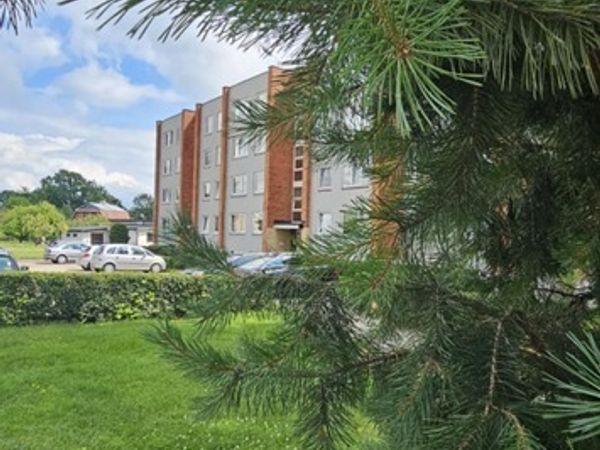 Kauno r. sav., Raudondvaris