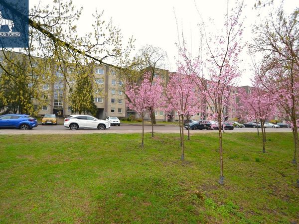 Vilnius, Naujamiestis