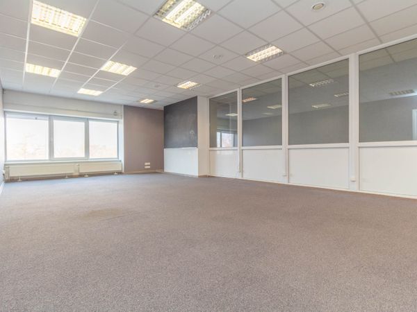 Kaunas, Žaliakalnis