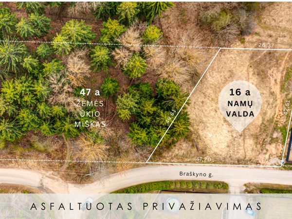 Vilniaus r. sav., Avižieniai