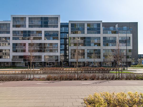 Vilnius, Šnipiškės