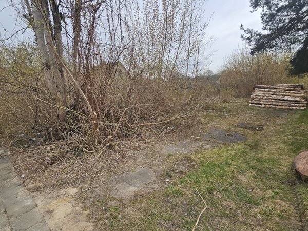 Panevėžys, Centras