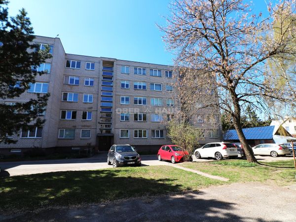 Panevėžys, Centras