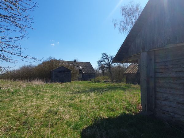 Lazdijų r. sav., Naujoji Kirsna