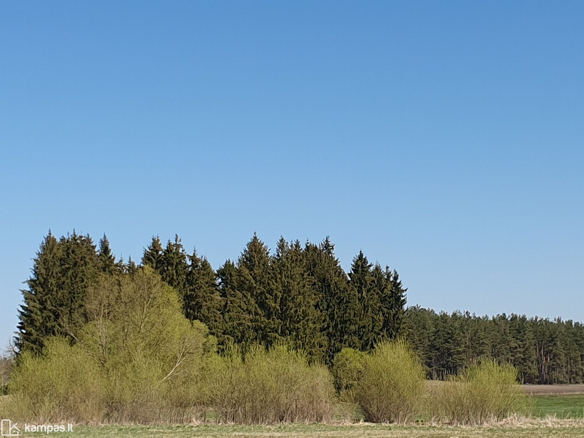 Main Image Kalvarijos sav., Palnyčia