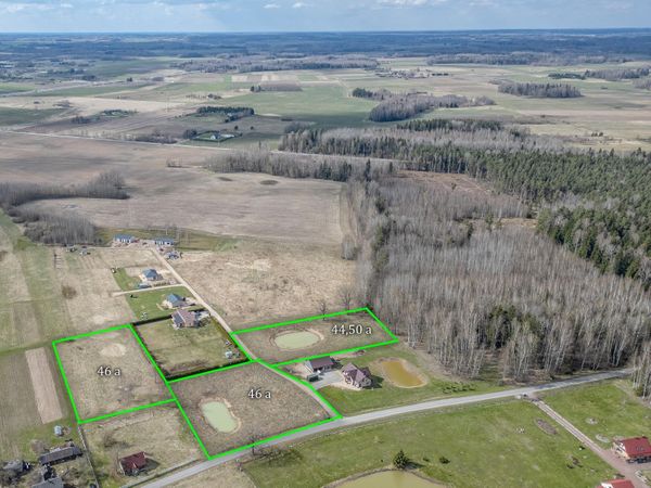 Širvintų r. sav., Dailidžionys