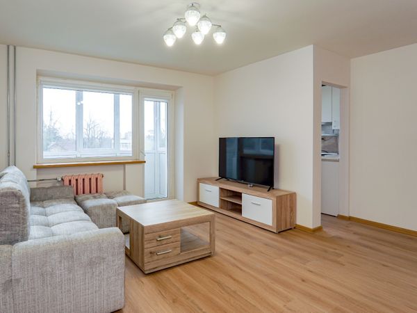 Panevėžys, Centras