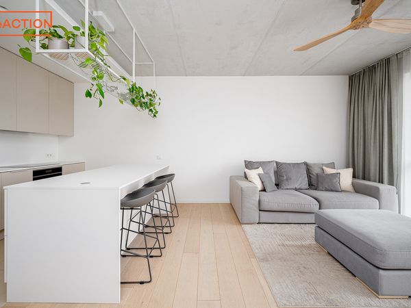 Vilnius, Naujamiestis