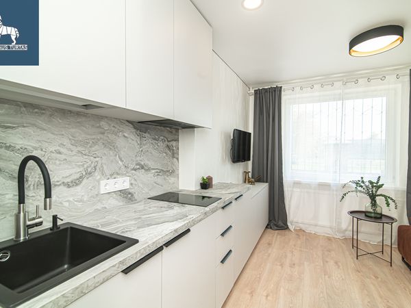 Vilnius, Šnipiškės