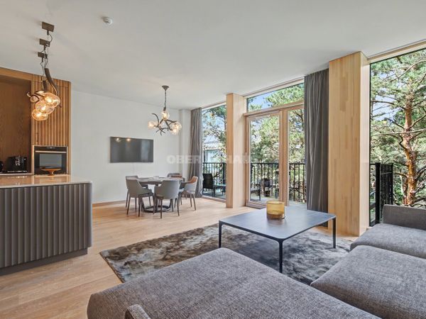 Druskininkų sav., Druskininkai