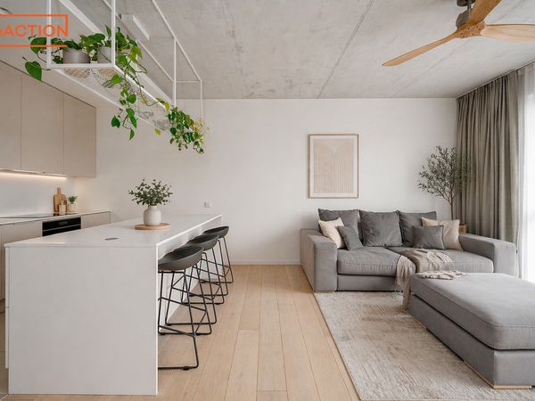 Vilnius, Naujamiestis