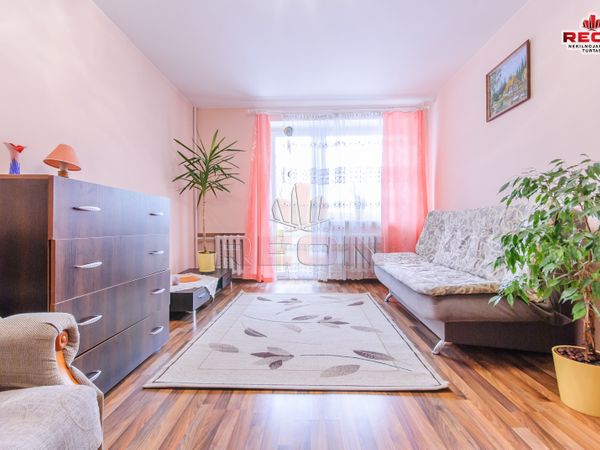 Vilnius, Šnipiškės