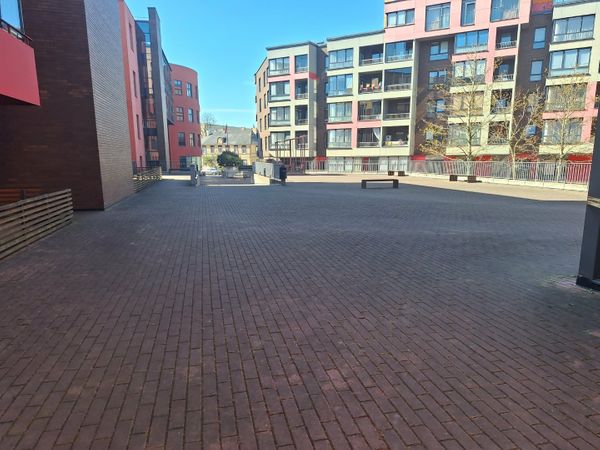 Kaunas, Žaliakalnis