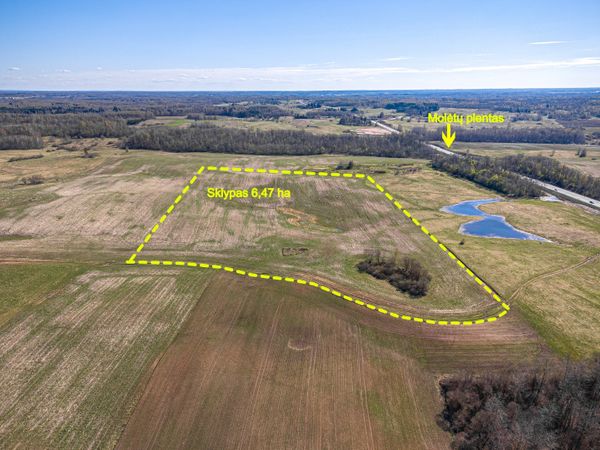 Molėtų r. sav., Kužai