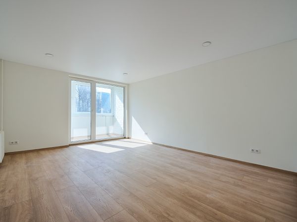 Klaipėda, Žardininkai