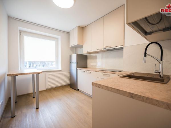 Vilnius, Šnipiškės