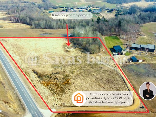 Kaišiadorių r. sav., Pavuolis