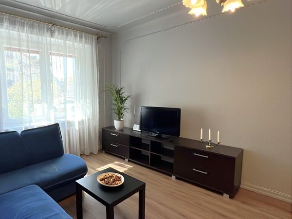 Kaunas, Žaliakalnis