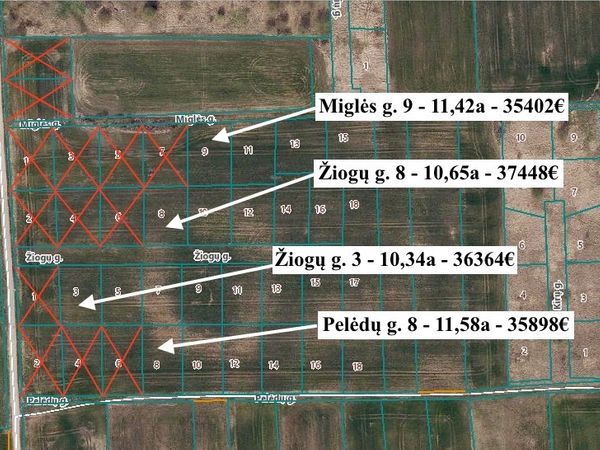 Kauno r. sav., Ražiai