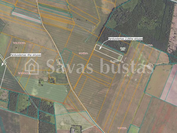 Pakruojo r. sav., Pakalniškiai