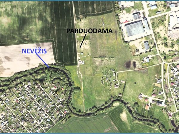 Panevėžio r. sav., Liūdynė