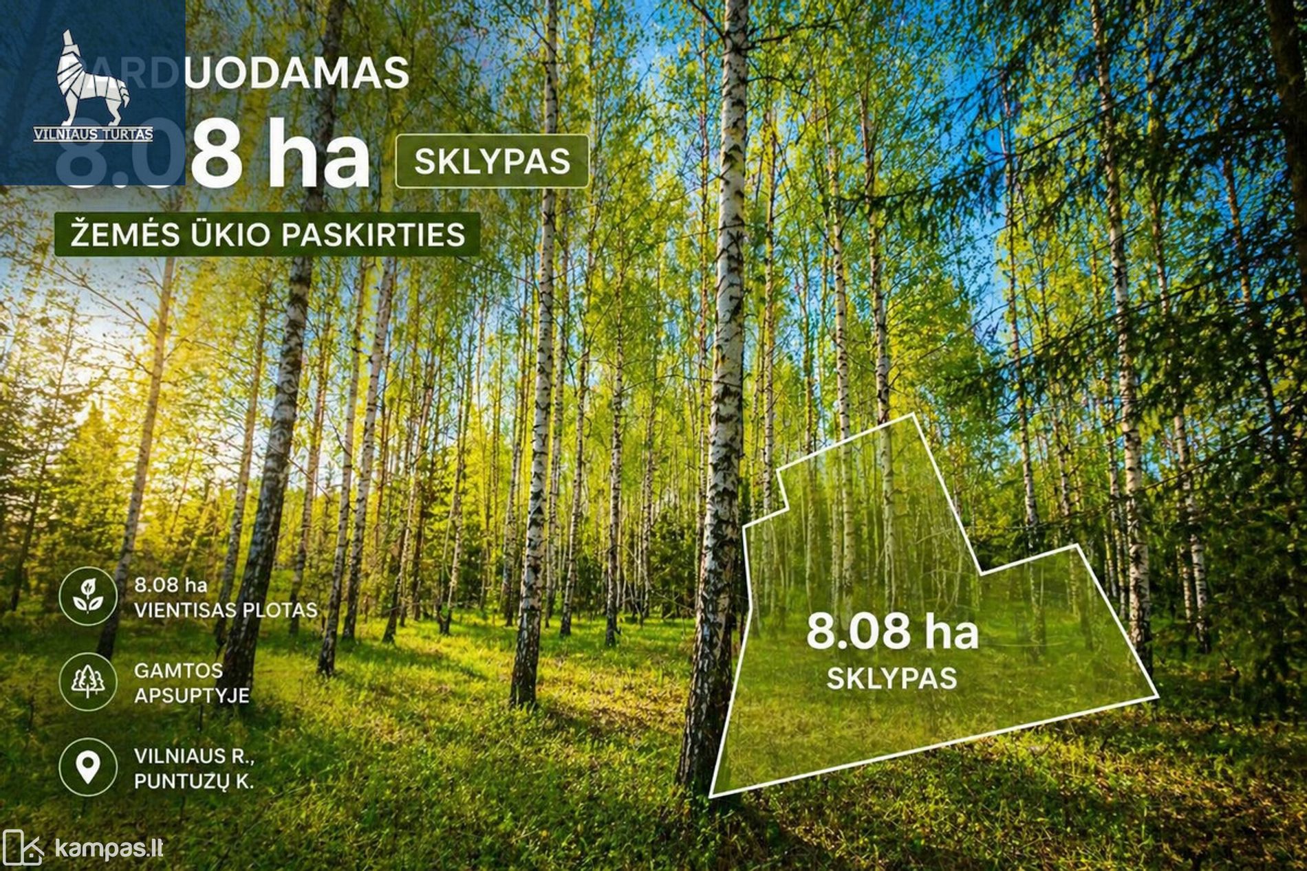 Main Image Vilniaus r. sav., Puntuzai