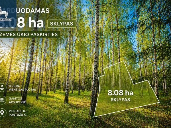 Vilniaus r. sav., Puntuzai